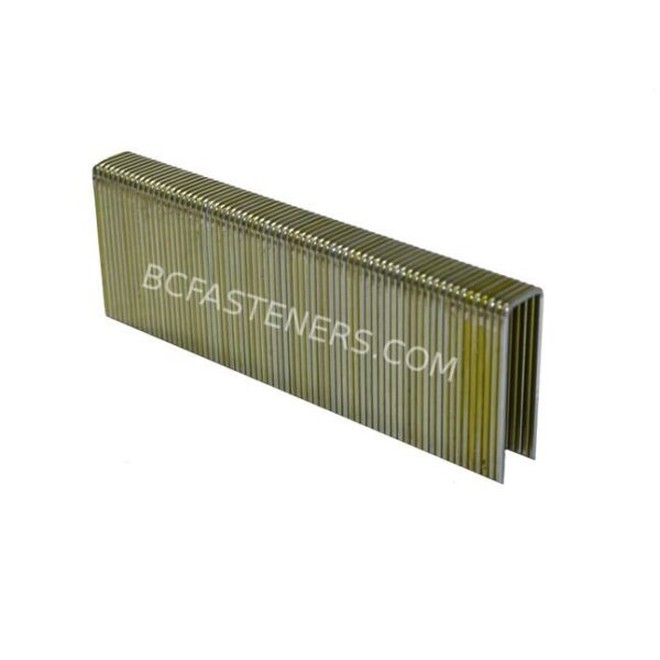 GS Series Staples GS Series Staples