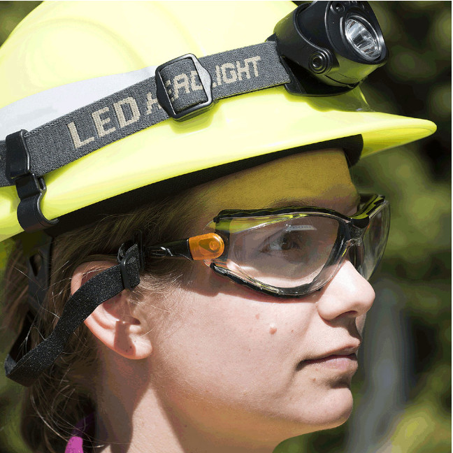 Sellstrom S71910 Premium XPS502 Sealed Safety Glasses