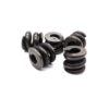 Ridgid 34315 Wear Plug Spring