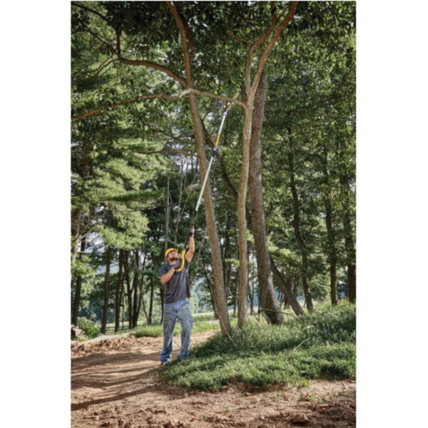 DCPS620M1 20V Max XR Cordless Pole Saw Kit