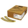 Simpson Strong-Tie WSV134S QUIK DRIVE #9 x 1-3/4" Collated Subfloor Screw Yellow ZincSimpson Strong-Tie WSV134S QUIK DRIVE #9 x 1-3/4" Collated Subfloor Screw Yellow ZincSimpson Strong-Tie WSV134S QUIK DRIVE #9 x 1-3/4" Collated Subfloor Screw Yellow ZincSimpson Strong-Tie WSV134S QUIK DRIVE #9 x 1-3/4" Collated Subfloor Screw Yellow ZincSimpson Strong-Tie WSV134S QUIK DRIVE #9 x 1-3/4" Collated Subfloor Screw Yellow ZincSimpson Strong-Tie WSV134S QUIK DRIVE #9 x 1-3/4" Collated Subfloor Screw Yellow ZincSimpson Strong-Tie WSV134S QUIK DRIVE #9 x 1-3/4" Collated Subfloor Screw Yellow ZincSimpson Strong-Tie WSV134S QUIK DRIVE #9 x 1-3/4" Collated Subfloor Screw Yellow ZincSimpson Strong-Tie WSV134S QUIK DRIVE #9 x 1-3/4" Collated Subfloor Screw Yellow ZincSimpson Strong-Tie WSV134S QUIK DRIVE #9 x 1-3/4" Collated Subfloor Screw Yellow Zinc