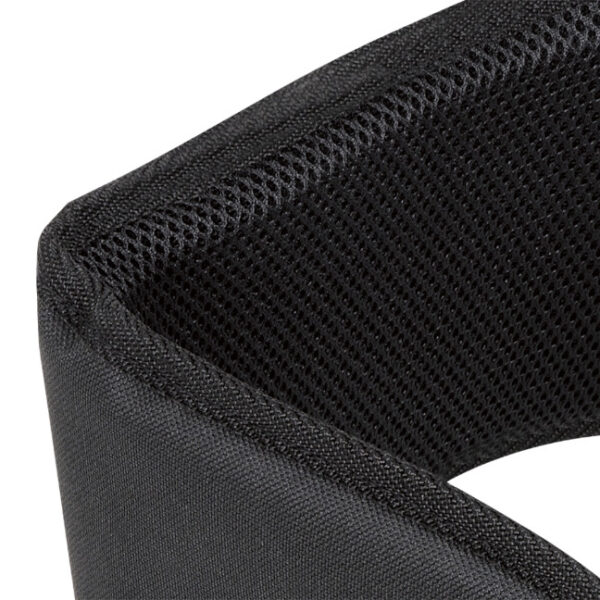 Peakworks V8059 WB-6006 Padded Lumbar Support for Belt