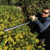 Makita DUH606Z 18V LXT Brushless 24" Hedge Trimmer with XPT-Tool Only Makita DUH606Z 18V LXT Brushless 24" Hedge Trimmer with XPT-Tool Only