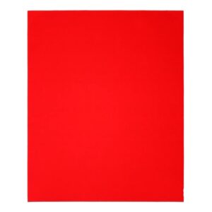 Diablo DCS911060S04G 9" x 11" 60-Grit Sanding Sheet 4-Pack