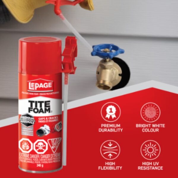LePage 2838724 TITEFOAM Gaps and Cracks Insulating Foam Sealant - White