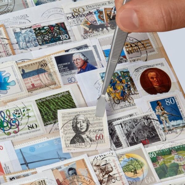 Knipex 920106 4 Premium Stainless Steel Gripping Tweezers - 30° Angled Blunt Tips (5) Knipex 920106 4" Premium Stainless Steel Gripping Tweezers - 30° Angled Blunt Tips